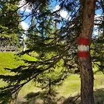 Premium Residences Rauris